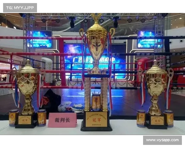 最大的自由搏击赛事(世界顶级自由搏击赛事)